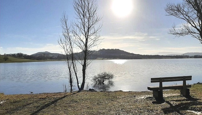 imagen El silencio habitado